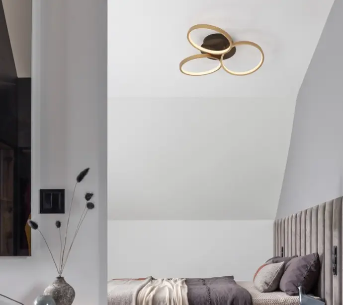 Moderna LED stropna svetilka ELIZE Moderna LED stropna svetilka ELIZE