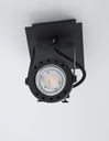Spotlight Salva