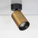 Spotlight Inus