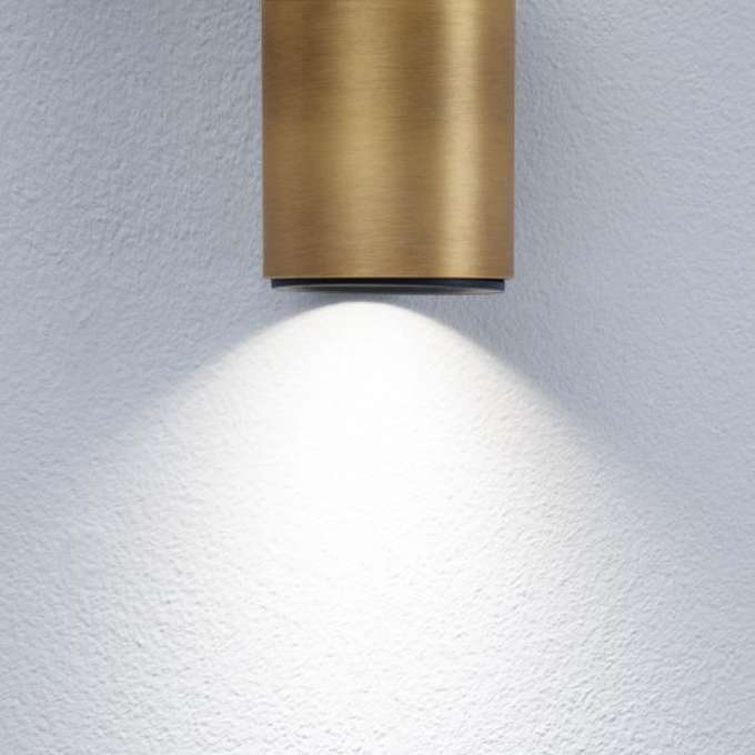 Spotlight Inus