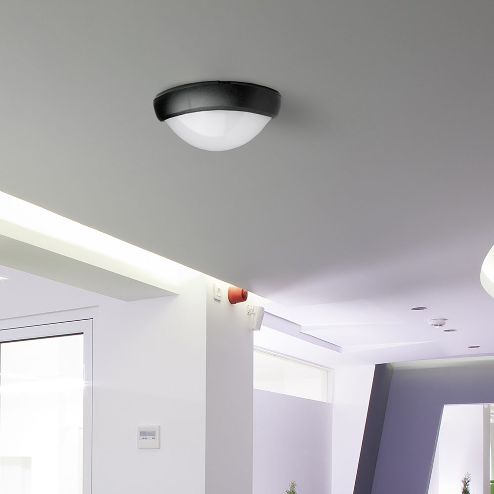 12W LED Full Oval Ceiling Lamp Black Body IP54 