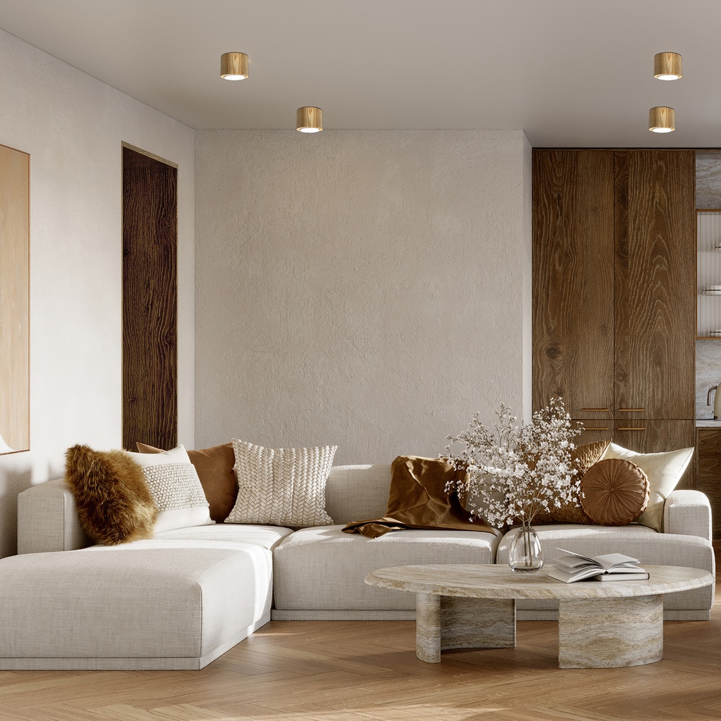 Recessed light Downlight Wood GX53