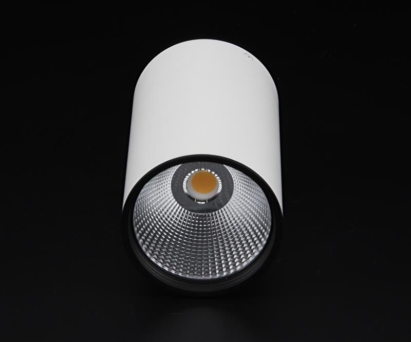 LED stropna svetilka Luna, 40 W, 4000 K, bela