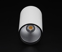 LED stropna svetilka Luna, 40 W, 4000 K, bela