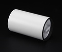 LED stropna svetilka Luna, 40 W, 4000 K, bela