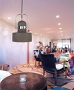 Pendant light Pavonis
