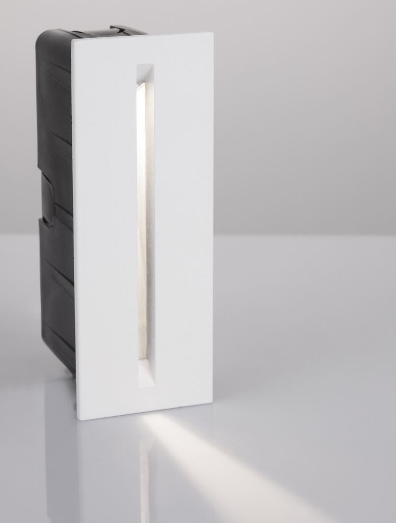 Outdoor wall light Aizen 2