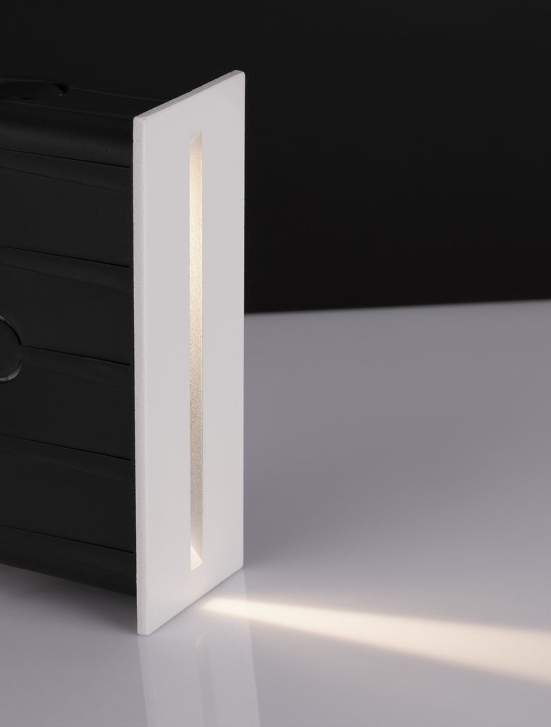 Outdoor wall light Aizen 3