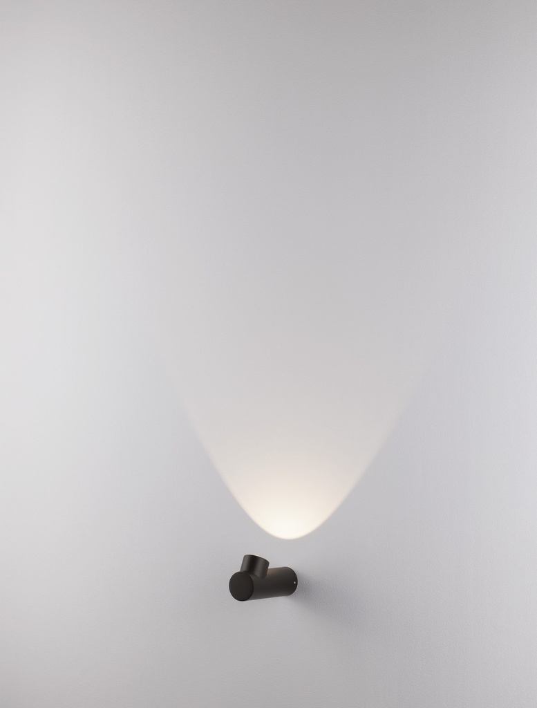 Outdoor wall light Brice 2