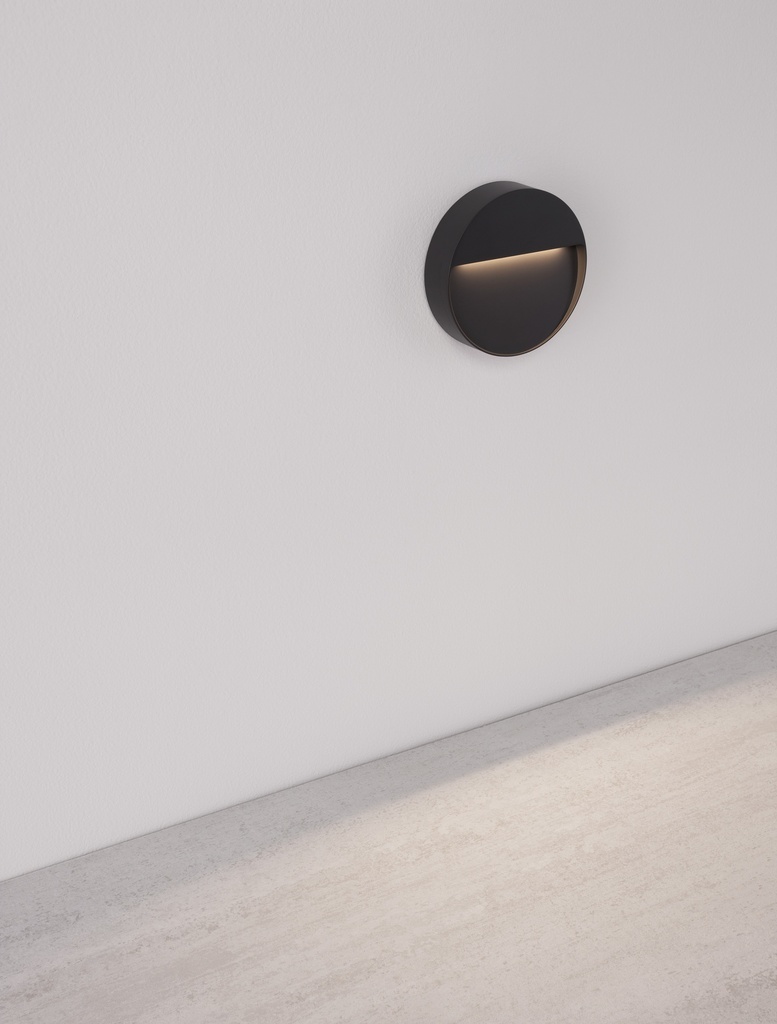 Outdoor wall light Brigi 2