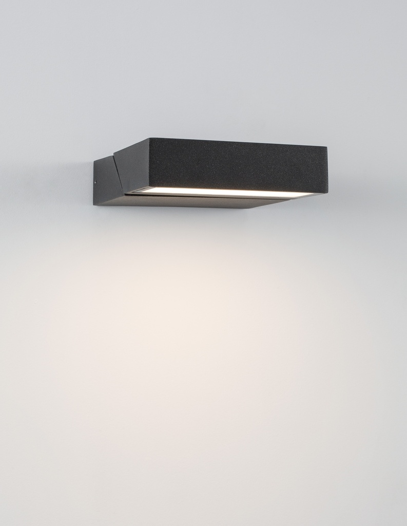 Outdoor wall light Brin 2