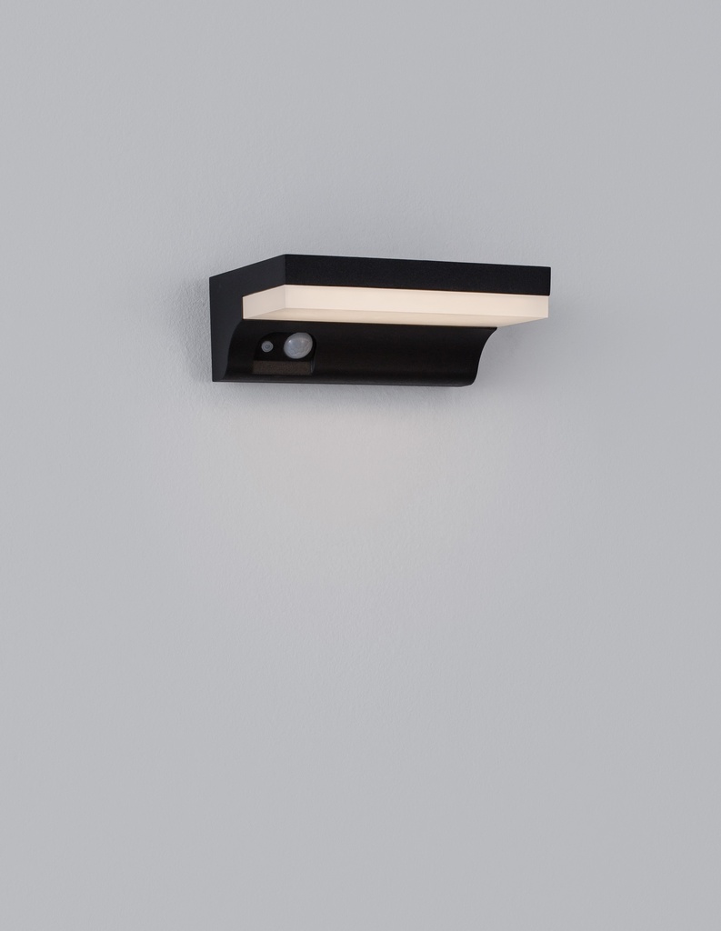 Outdoor wall light Dyn 3