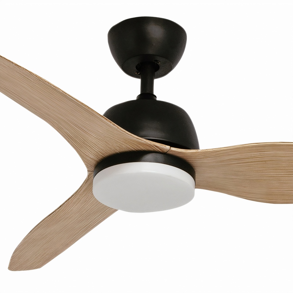 Fan July