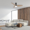 Fan July