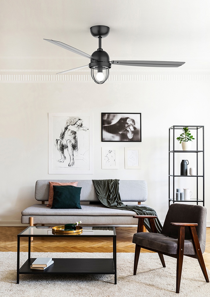 Fan Mariner