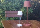 LED battery powered table light Canis Mini