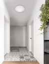 Ceiling light Shell