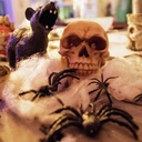 Spider web - white - 30 x 18 cm