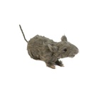 Rat - 23 x 9 x 14 cm