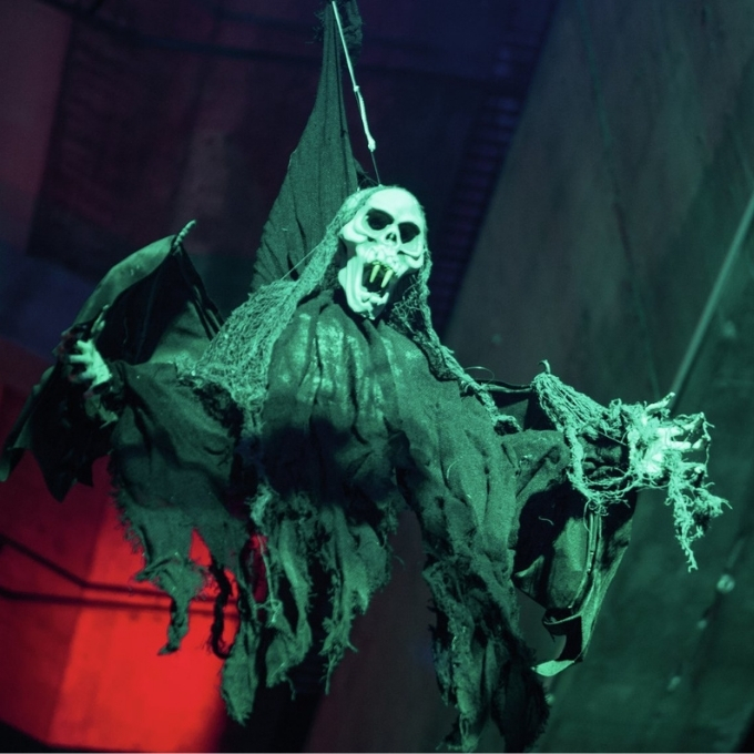 Bat ghost - 80 x 85 cm