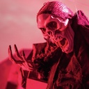 Bat ghost - 80 x 85 cm