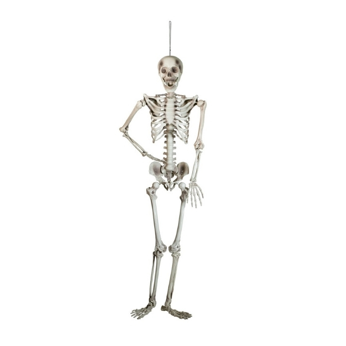 Skeleton - 150 cm