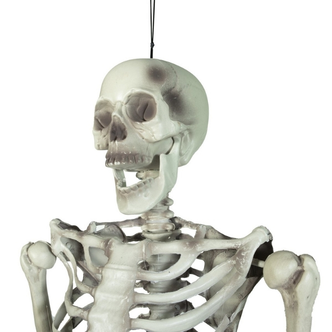Skeleton - 150 cm