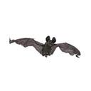 Bat - animated - 40 x 90 cm