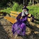 Witch - animated - 70 x 50 x 43 cm