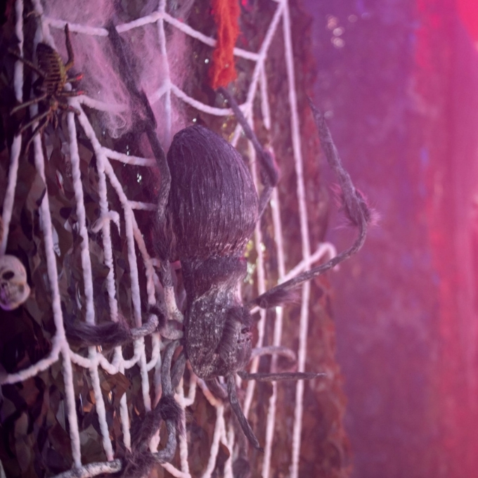 Monsterspider - 40 x 130 x 20 cm