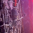 Monsterspider - 40 x 130 x 20 cm