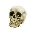 LED Skull - 19 x 15 x 16 cm