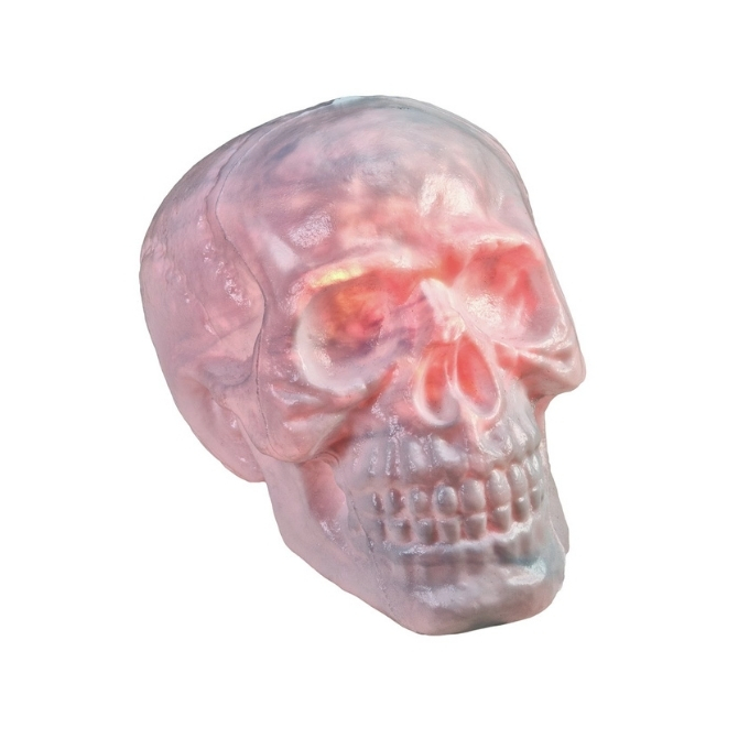 Skull - 22 x 22 x 31 cm