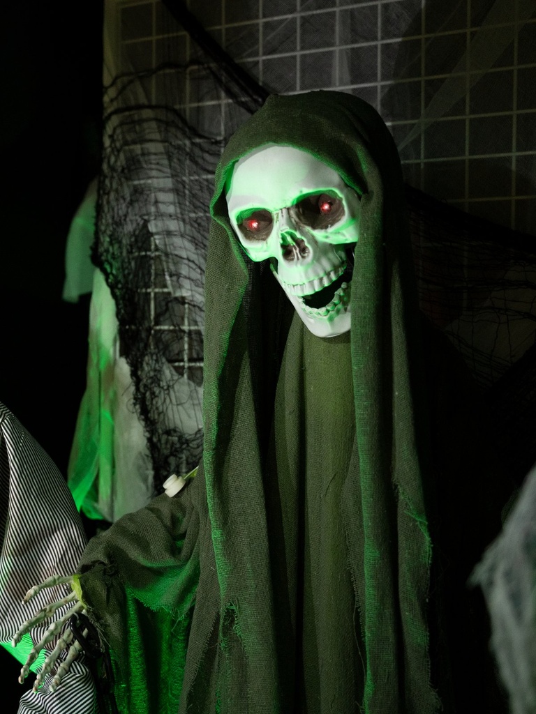 Skeleton with green cape - animated - 40 x 80 x 175 cm