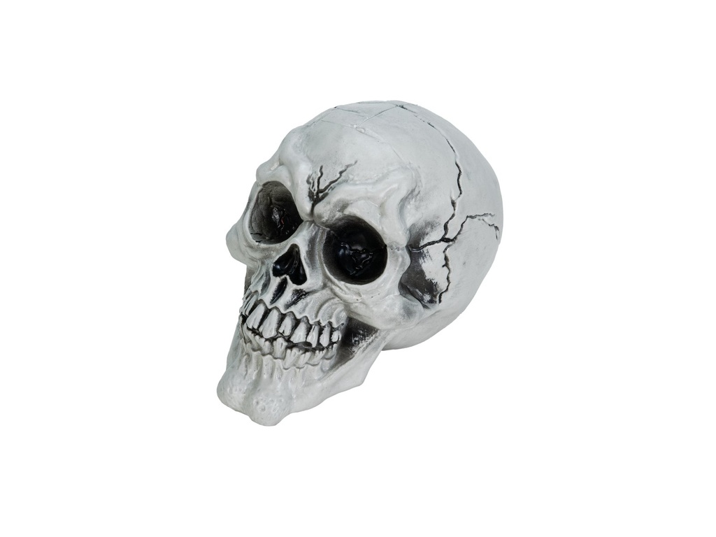 Skull - 3x 