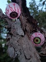 Eyeballs - 4x
