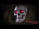Ghost coffin - animated - 9 x 50 x 150 cm