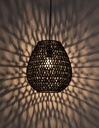 Pendant light Griffin