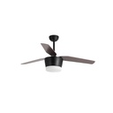 Fan Monsoon