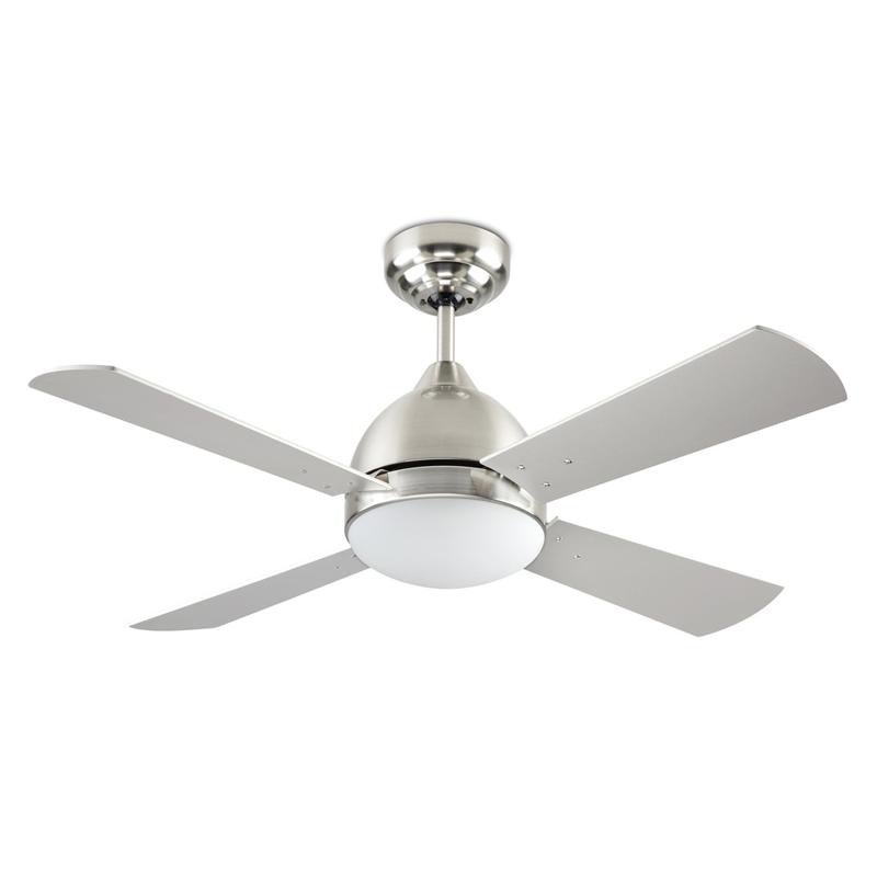 Fan Borneo