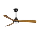 Fan Bosc