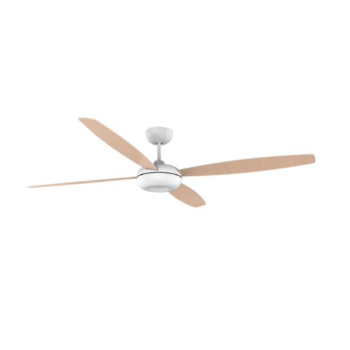 Fan Kudari