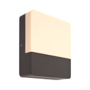 Stenska svetilka Pictoris