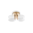 LED ceiling light Gatlin