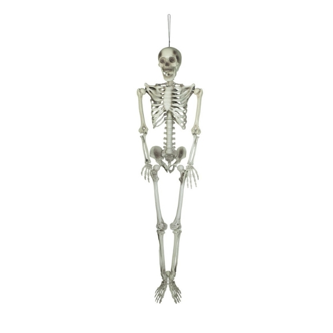 Skeleton - 150 cm