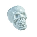 Skull - 22 x 22 x 31 cm