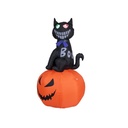 Inflatable cat with pumpkin - 100 x 100 x 180 cm