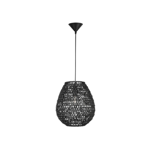 Pendant light Griffin