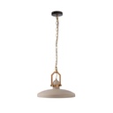 Pendant light Cygni