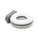 Wall light Muscae